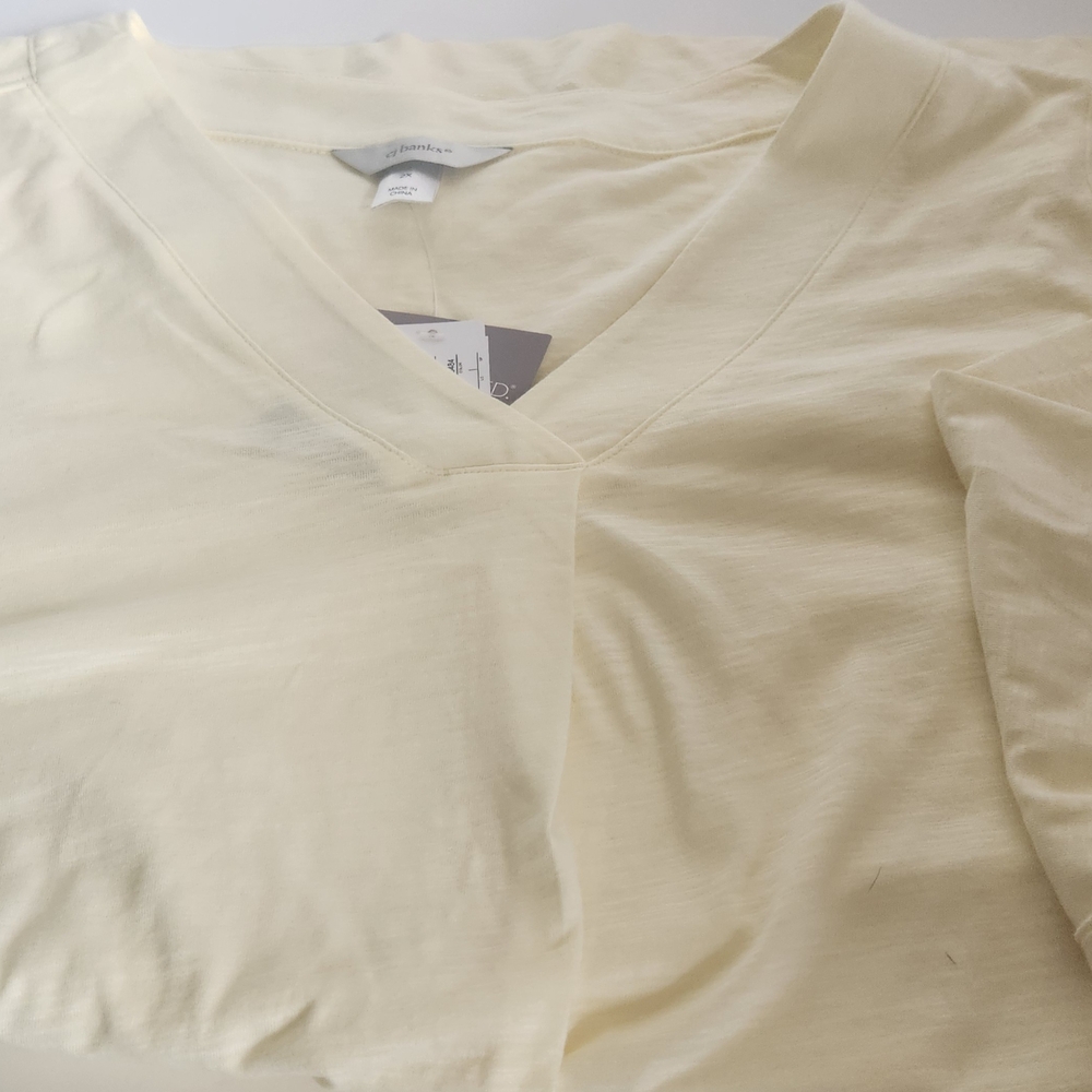 Women's Cream V-Neck Top